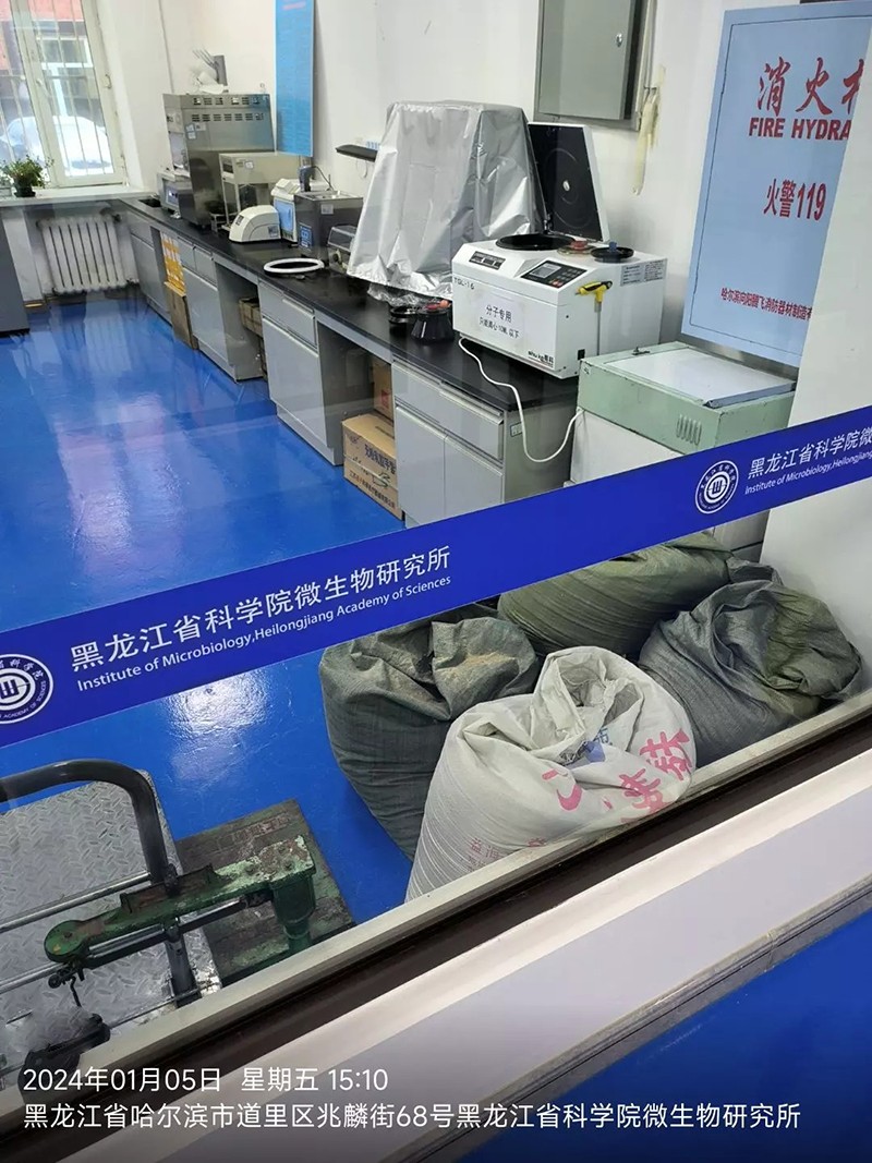 黑龙江微生物.jpg